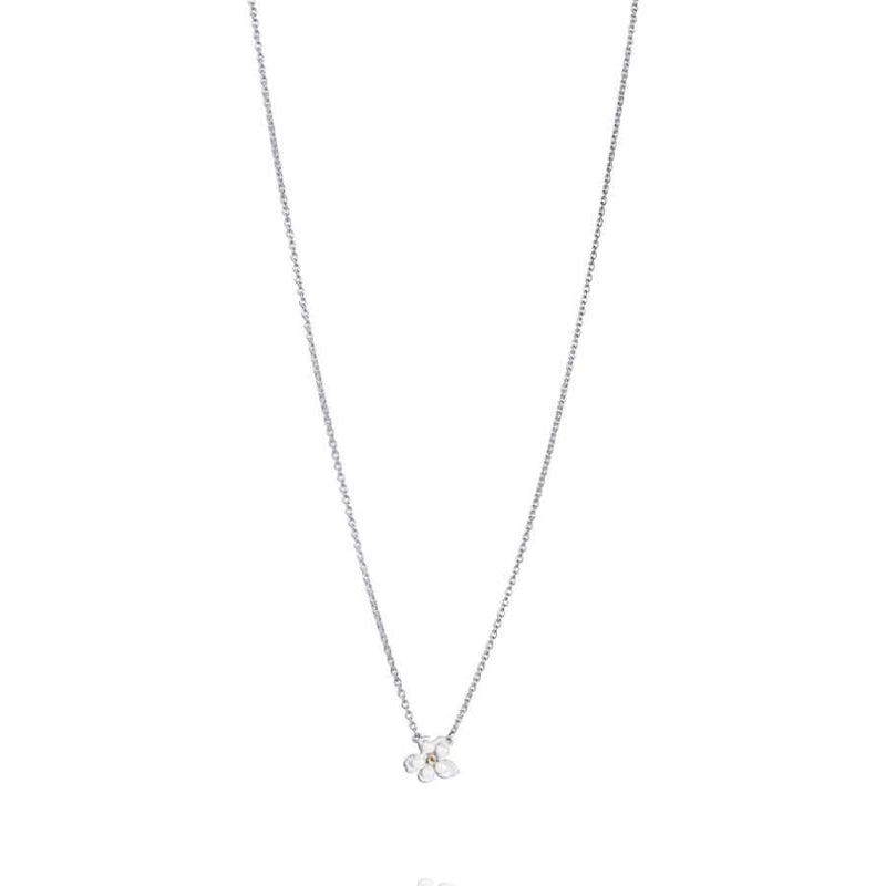 Efva Attling Förgätmigej Kaulakoru 10-100-02345