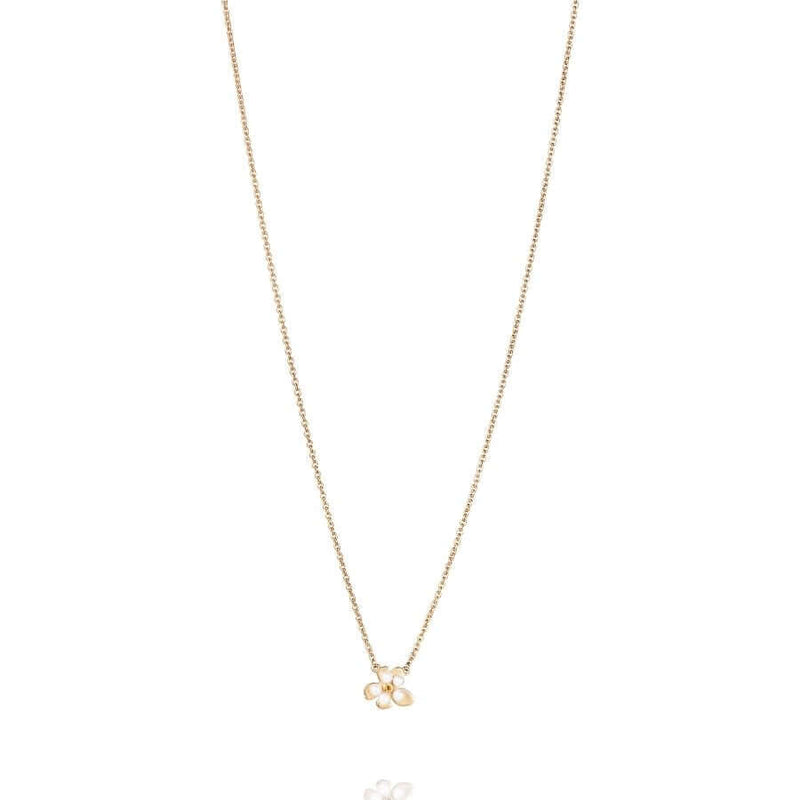 Efva Attling Förgätmigej Kullattu Kaulakoru 10-108-02345