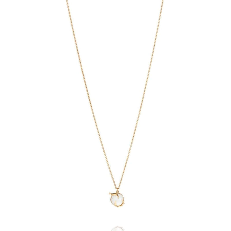 Efva Attling Frö Kullattu Kaulakoru 10-108-02341