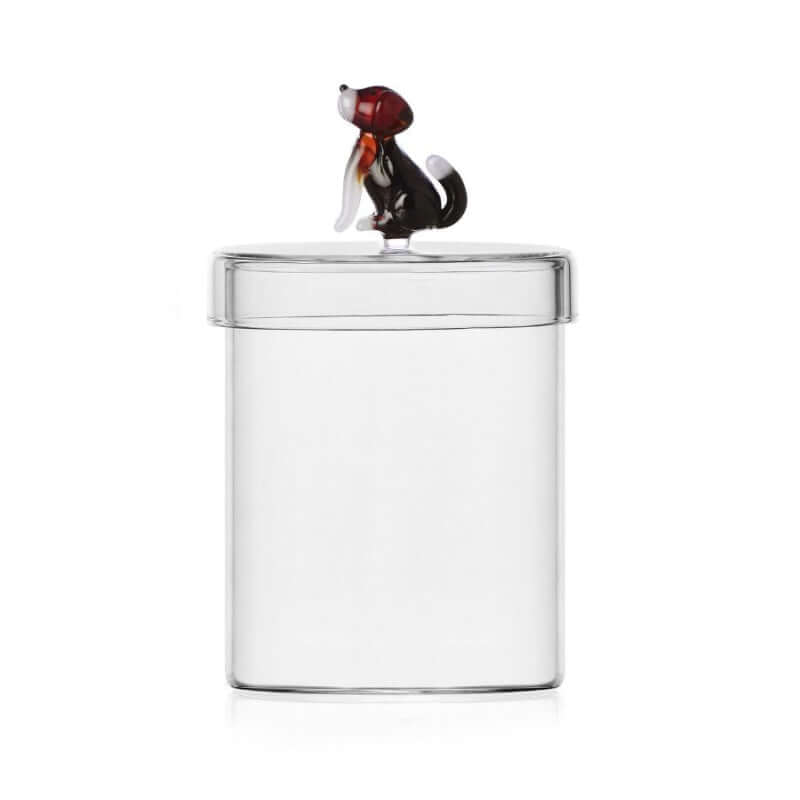 Ichendorf Milano Dogs English Foxhound Rasia 09354307