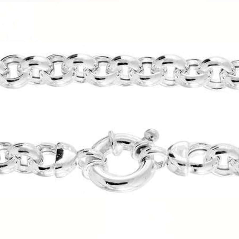 Hopeinen papukaulaketju