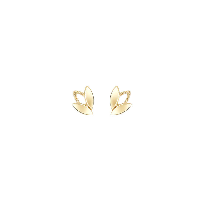 Tammi Jewellery Kultaiset Sademetsä Korvakorut S G8279