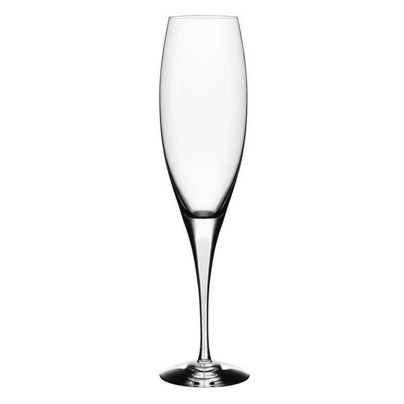 Orrefors Intermezzo Satin shampanjalasi, 20 cl 6577414