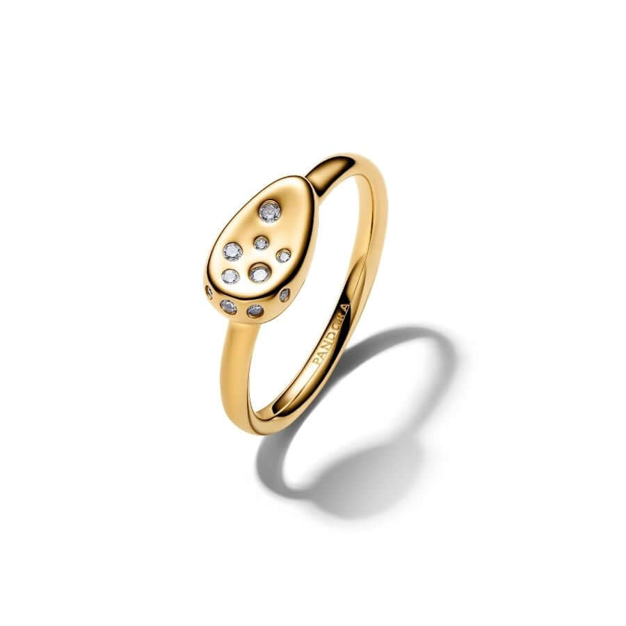 Pandora Essence Oval Signed Sormus 164672C01