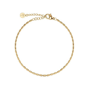 Edblad Seed Rannekoru 130326