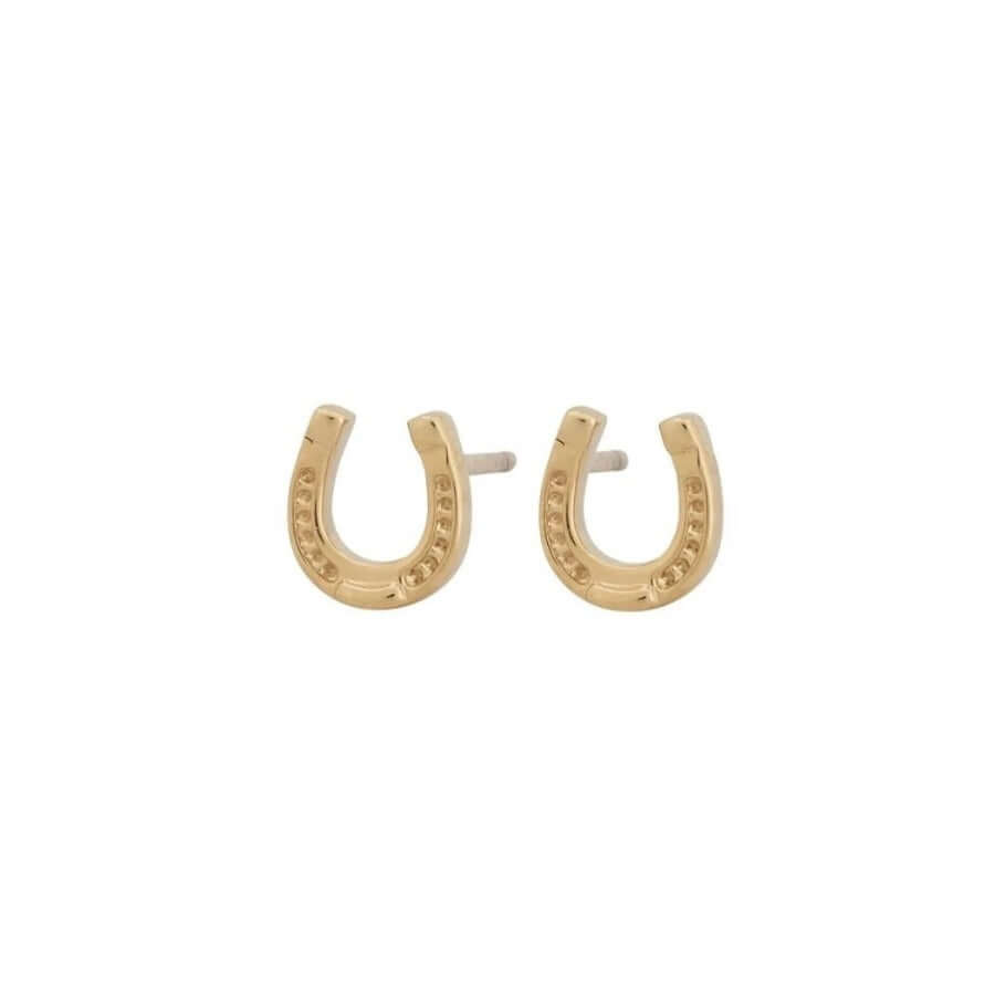 Edblad Triumph studs steel korvakorut 126006