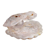 Kosta Boda Mother of Pearl Sand ÅJ AC-24 7480049