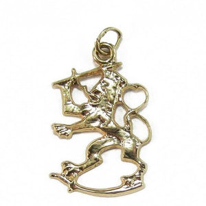 14 karaatin keltakultainen Suomi leijonariipus 25 mm