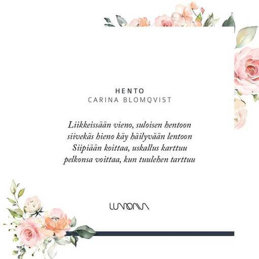 Lumoava Hento riipus pieni L56201020000