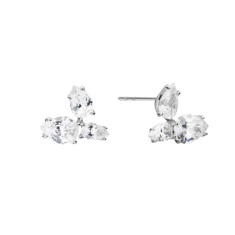 Mockberg Fleur Hopeansävyiset Korvakorut MB2392