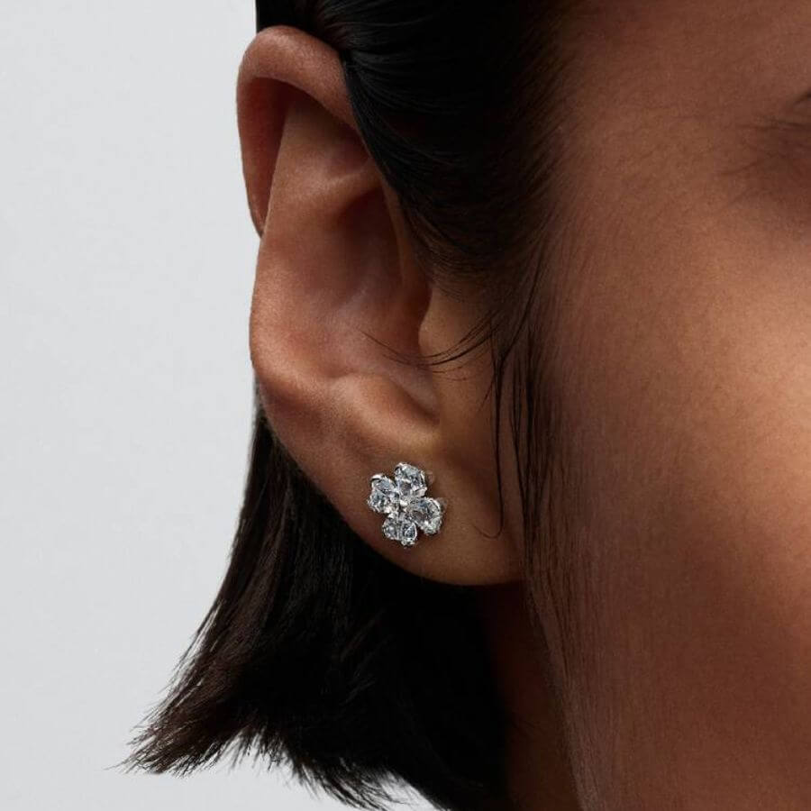 Pandora Sparkling Onnenapila Korvakorut 294500C01
