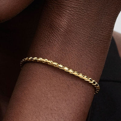 Pandora Moments Wing Chain Rannekoru 564028C00