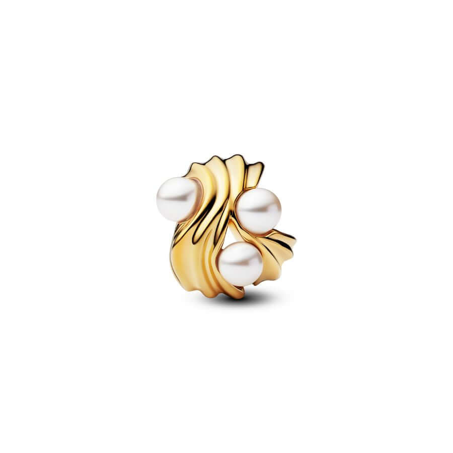 Pandora Abstraktit Aallot Charm Hela 763915C01