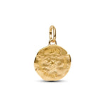 Pandora ME Heinä Medallion Charm Hela 764804C01