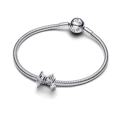Pandora Family Charm Hela 794250C01