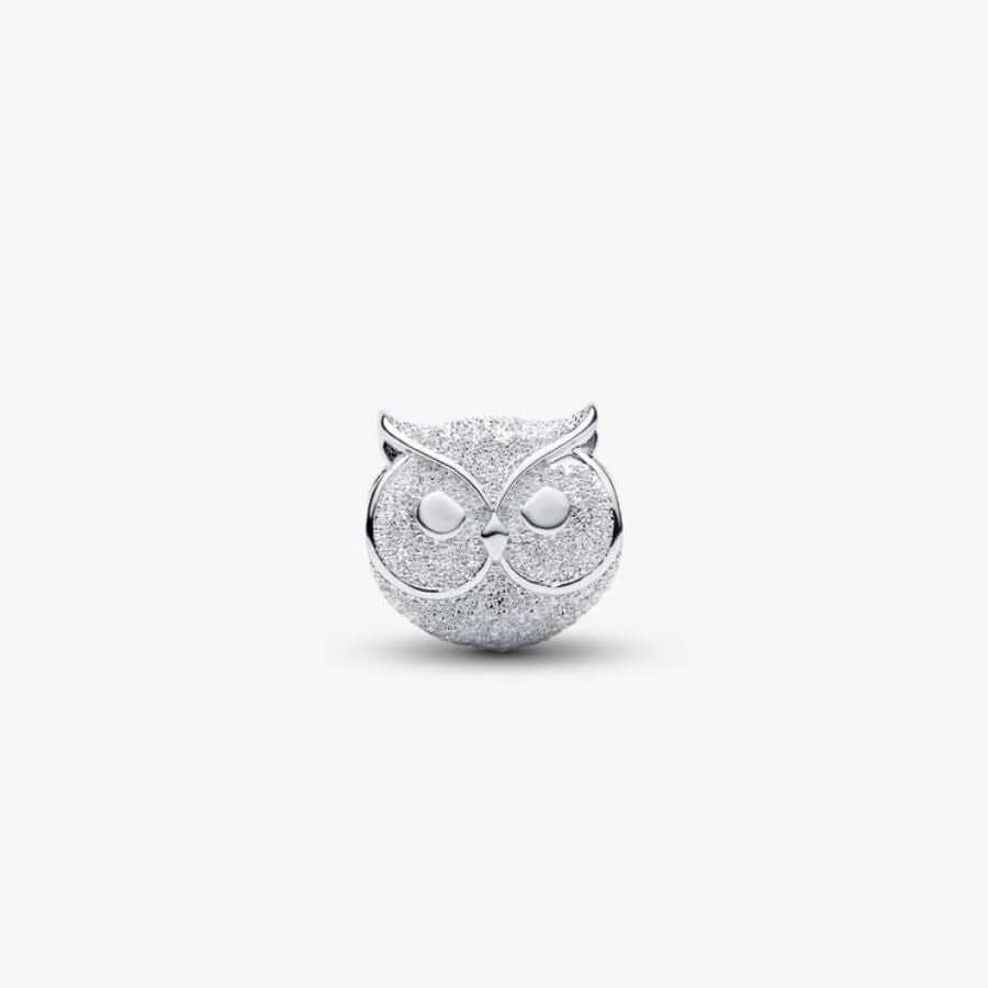 Pandora Mini Pöllö Charm Hela 794525C00