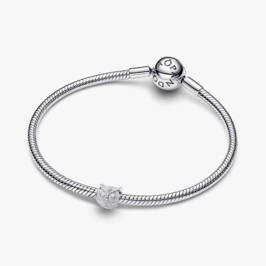 Pandora Mini Pöllö Charm Hela 794525C00