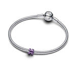 Pandora Mini Violetti Palapeli Charm Hela 794816C02