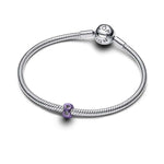 Pandora Mini Violetti Ikuisuus Charm Hela 794909C01