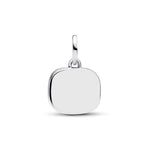 Pandora Love Tähdistö Double Charm Hela 795039C01