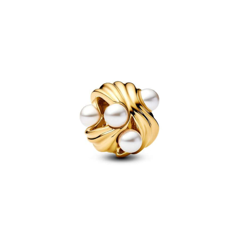 Pandora Abstraktit Aallot Charm Hela 763915C01
