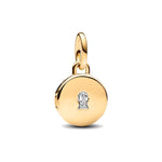 Pandora Key Hole Medaljonki Riipus 763066C01