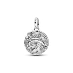 Pandora ME Delfiini Medallion Charm Hela 794807C01