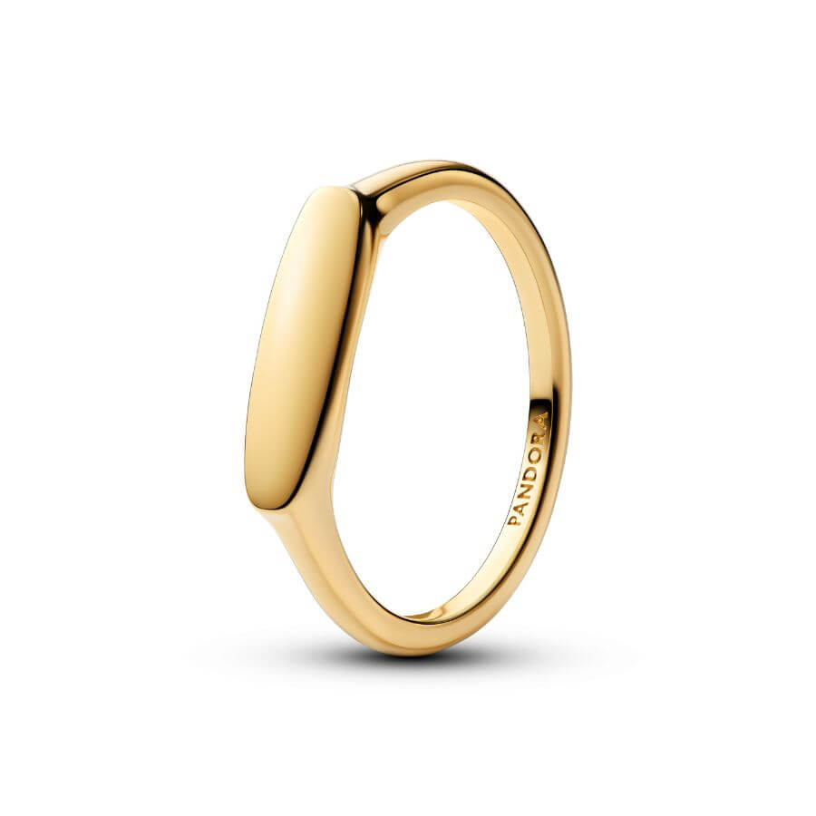 Pandora Moments Kaiverrettava Sormus 163986C00