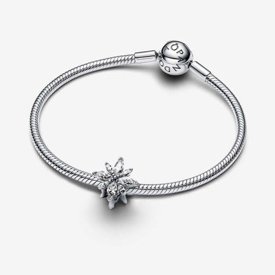 Pandora Pohjantähti Charm Hela 793591c01