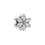Pandora Säihkyvä Herbaario rypäshela charm 792623C01