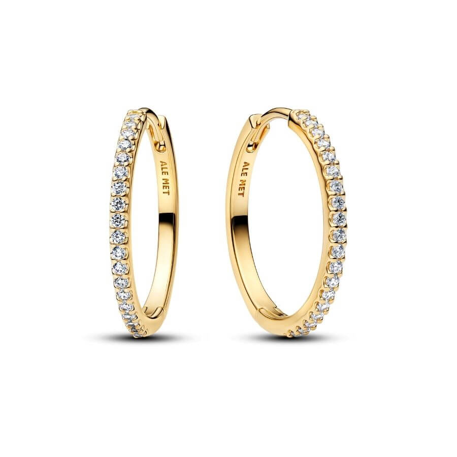 Pandora Sparkling Korvarenkaat 264652C01