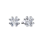 Pandora Sparkling Onnenapila Korvakorut 294500C01