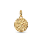 Pandora Swallow Medallion Charm Hela 764082C01