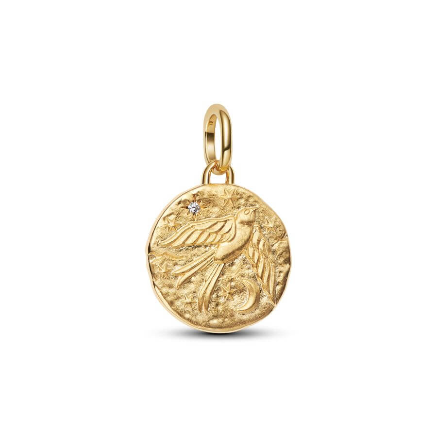 Pandora Swallow Medallion Charm Hela 764082C01