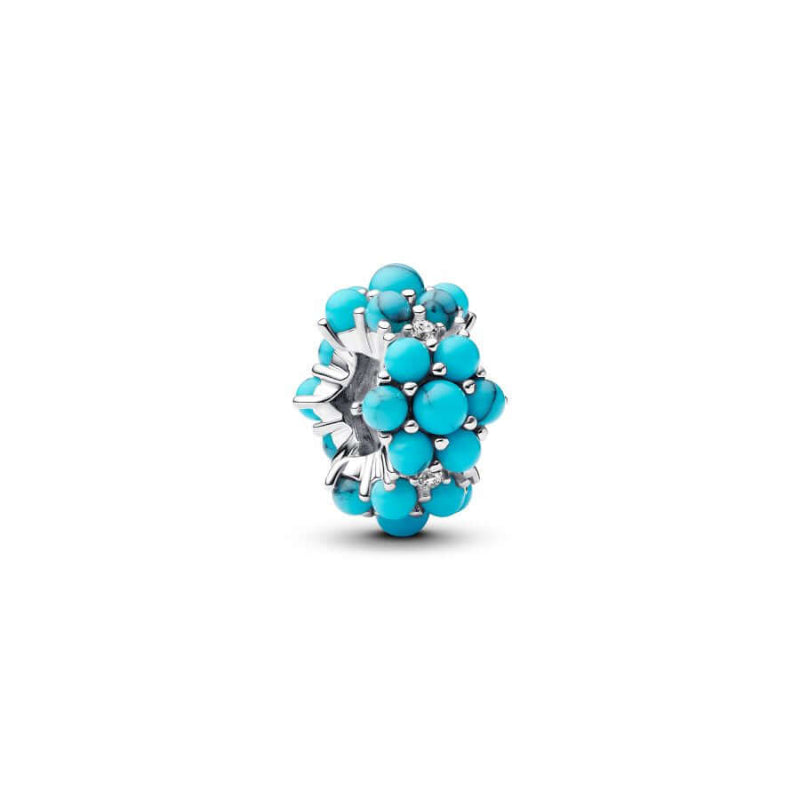 Pandora Turkoosi Meri Charm Hela 793897C02