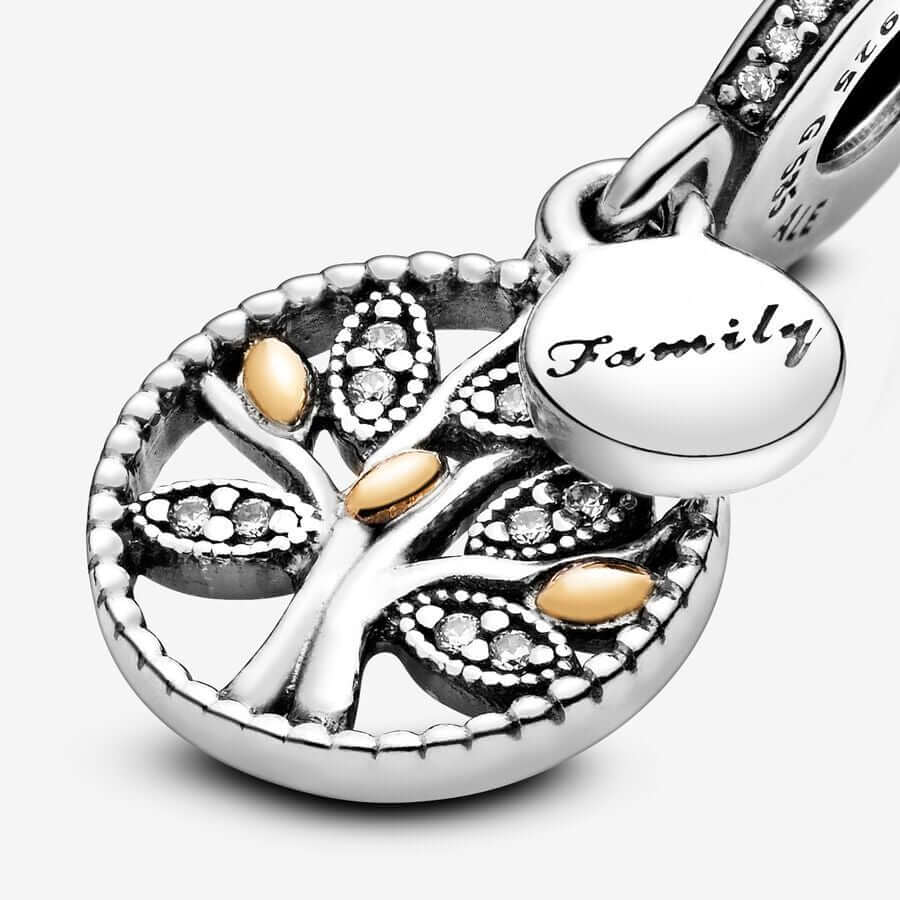 Pandora Family Heritage charm hela 791728CZ