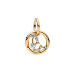 Pandora Horoskooppi Vesimies Charm Hela 762717C01