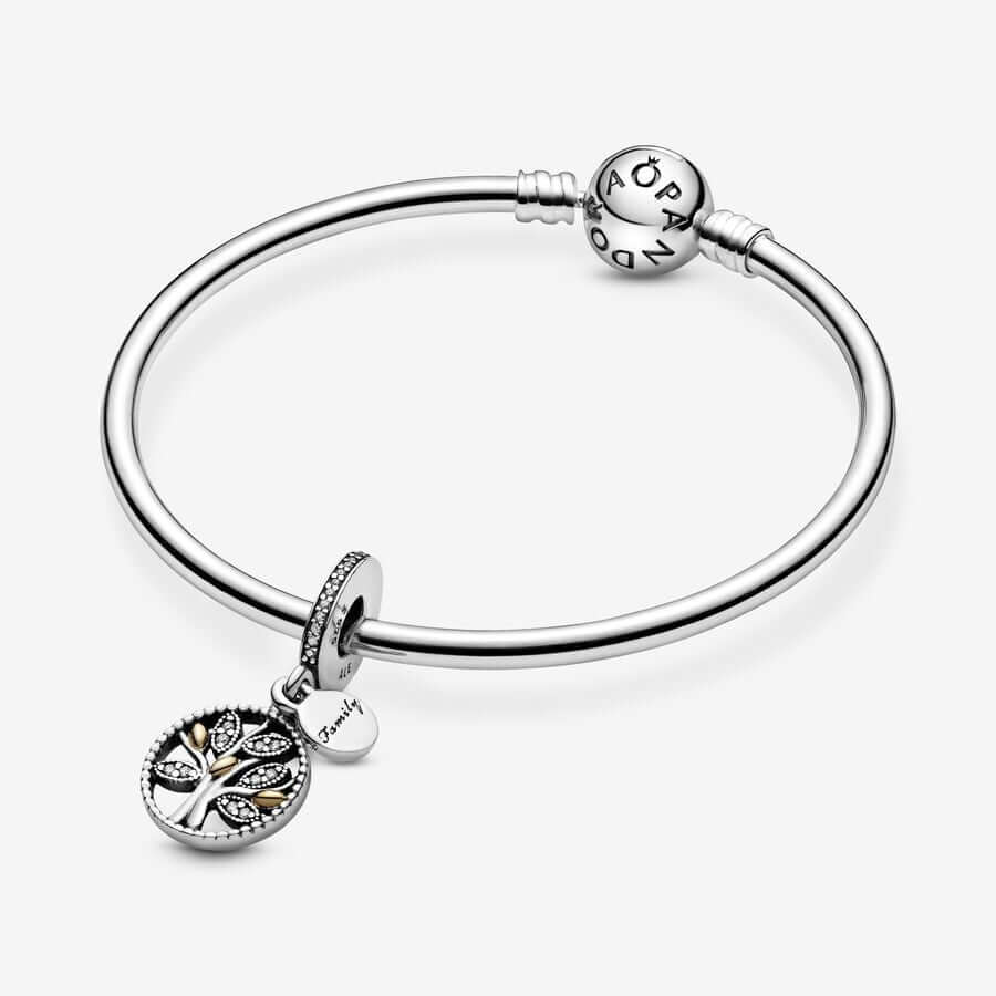 Pandora Family Heritage charm hela 791728CZ