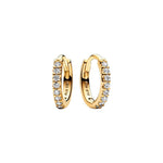 Pandora Sparkling Huggle korvakorut 263015C01