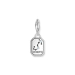 Thomas Sabo Horoskooppi Skorpioni Charm 2148-643-21