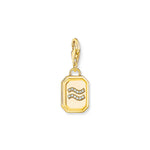 Thomas Sabo Horoskooppi Vesimies Charm 2155-414-39