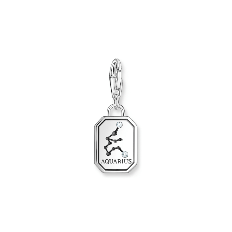 Thomas Sabo Horoskooppi Vesimies Charm 2143-643-21