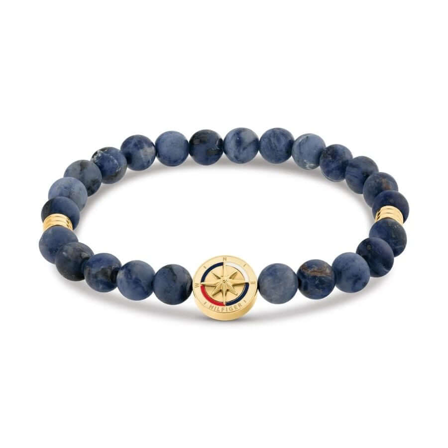 Tommy Hilfiger Compass Miesten Rannekoru THJ2790723