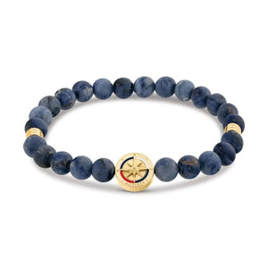 Tommy Hilfiger Compass Miesten Rannekoru THJ2790723