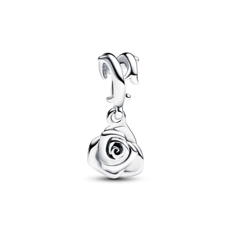 Pandora Hopea Ruusu Charm Hela 793213C00