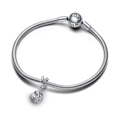 Pandora Hopea Ruusu Charm Hela 793213C00