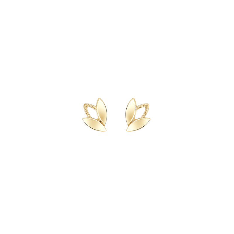 Tammi Jewellery Kultaiset Sademetsä Korvakorut S G8279