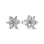 Pandora Sparkling Herbarium Cluster korvakorut 292633C01