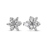 Pandora Sparkling Herbarium Cluster korvakorut 292633C01