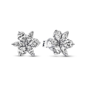 Pandora Sparkling Herbarium Cluster korvakorut 292633C01